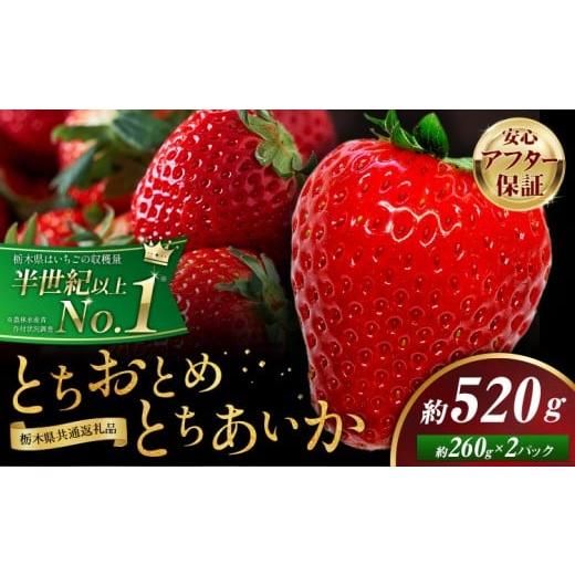 ふるさと納税 いちご 栃木県 野木町 栃木 いちご 食べ比べ とちおとめ とちあいか 2パック 520g [1月中旬-5月末頃出荷] 栃木県 野木町 いちご イチゴ 苺 と…