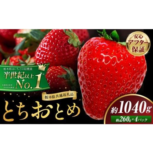ふるさと納税 いちご 栃木県 野木町 栃木 いちご とちおとめ 4パック 1040g [1月中旬-5月末頃出荷] 栃木県 野木町 いちご イチゴ 苺 とちおとめ 果物 フルー…