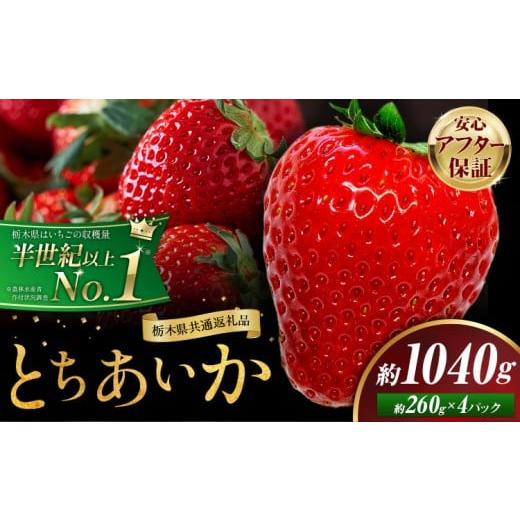 ふるさと納税 いちご 栃木県 野木町 栃木 いちご とちあいか 4パック 1040g [1月中旬-5月末頃出荷] 栃木県 野木町 いちご イチゴ 苺 とちあいか 果物 フルー…