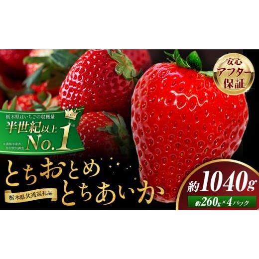 ふるさと納税 いちご 栃木県 野木町 栃木 いちご 食べ比べ とちおとめ とちあいか 4パック 1040g [1月中旬-5月末頃出荷] 栃木県 野木町 いちご イチゴ 苺 と…