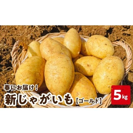 ふるさと納税 野菜類 じゃがいも 鹿児島県 知名町 2026年先行予約受付中 新じゃがいも ゴールド 5kg 3月お届け C056-006-01