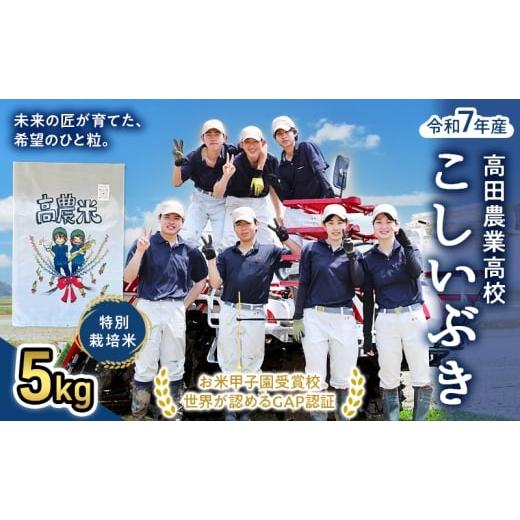 ふるさと納税 米 新潟県 上越市 未来の農業家を応援 高田農業高校の生徒が育てた「高農米」 令和7年産 特別栽培米 こしいぶき 5kg 5キロ 新潟県産 上越市
