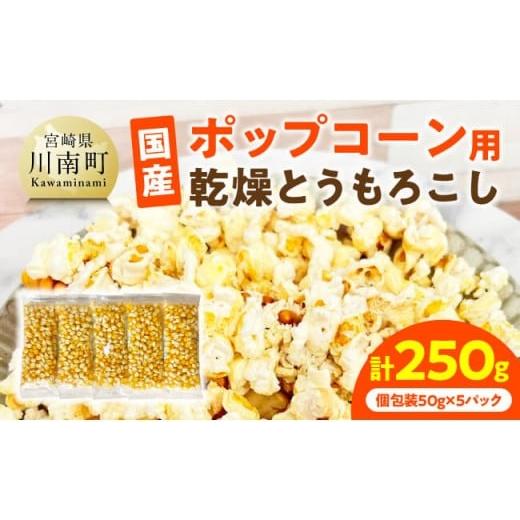ふるさと納税 とうもろこし 宮崎県 川南町 国産ポップコーン用(乾燥とうもろこし) 250g(個包装50g×5パック) 数量限定 期間限定 宮崎県産 ポップコーン