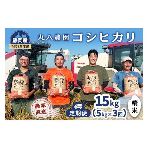 ふるさと納税 米 コシヒカリ 静岡県 袋井市 お米 (定期便3回)令和7年度産静岡県産コシヒカリ精米5kg×3 計15kg 米 コメ こしひかり コシヒカリ 精米 白米 定…