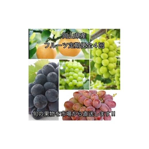 ふるさと納税 ぶどう 岡山県 津山市 発送月固定定期便 岡山県産 フルーツ定期便全4回 4075037