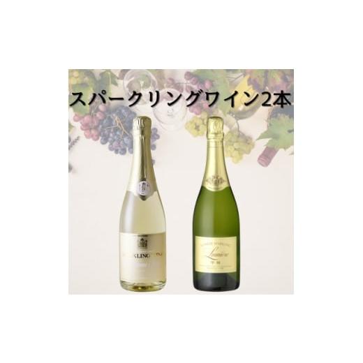ふるさと納税 ワイン 白ワイン 山梨県 - スパークリングワイン2本セット(5) 049 1684419