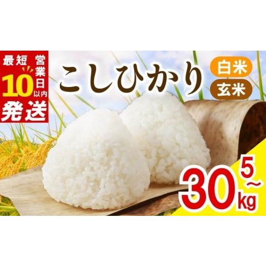 ふるさと納税 米 コシヒカリ 奈良県 奈良市 令和7年産 白米 5kg コシヒカリ 数量限定 お米 精米 新米 ご飯 こめ はくまい おにぎり つやつや おいしい お弁当 …