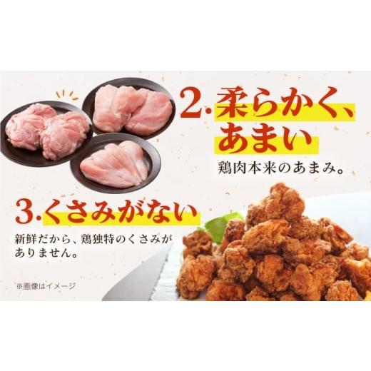 ふるさと納税 鶏肉 ささみ 佐賀県 江北町  全6回定期便 ありたどり 3種盛り合わせ 計1.7kg（ササミ・ムネ・モモ） 肉の三栄 ありた鶏 むね むね肉 ムネ ささみ…_5