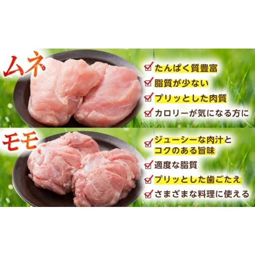 ふるさと納税 鶏肉 ささみ 佐賀県 江北町  全6回定期便 ありたどり 3種盛り合わせ 計1.7kg（ササミ・ムネ・モモ） 肉の三栄 ありた鶏 むね むね肉 ムネ ささみ…_6