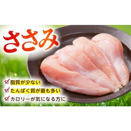 ふるさと納税 鶏肉 ささみ 佐賀県 江北町  全6回定期便 ありたどり 3種盛り合わせ 計1.7kg（ササミ・ムネ・モモ） 肉の三栄 ありた鶏 むね むね肉 ムネ ささみ…_7