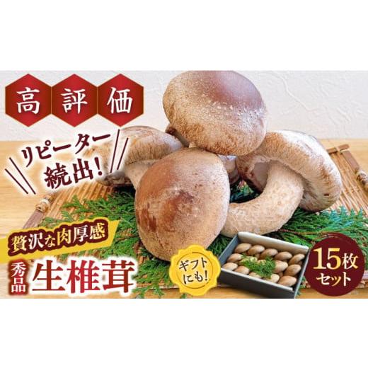 ふるさと納税 野菜類 きのこ 長崎県 南島原市 年内配送 一度食べたら忘れられない 九州で唯一 希少な肉厚生椎茸 秀品15枚セット / 生しいたけ 生シイタケ き…