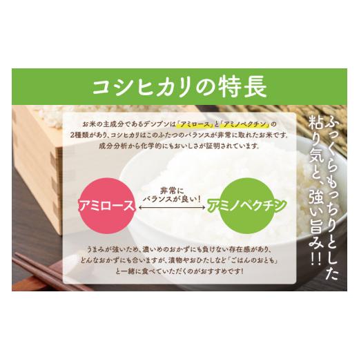 ふるさと納税 無洗米 茨城県 行方市  数量限定 令和7年産 人気の個包装でお届け 茨城県産 極上 コシヒカリ10kg(無洗米)｜米 お米 こしひかり コシヒカリ らぽ…の画像