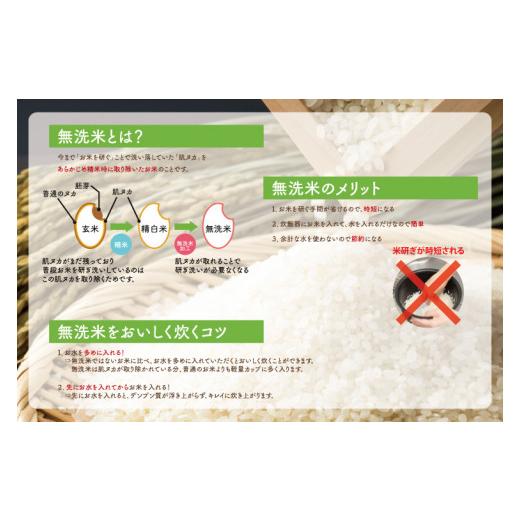 ふるさと納税 無洗米 茨城県 行方市  数量限定 令和7年産 人気の個包装でお届け 茨城県産 極上 コシヒカリ10kg(無洗米)｜米 お米 こしひかり コシヒカリ らぽ…の画像