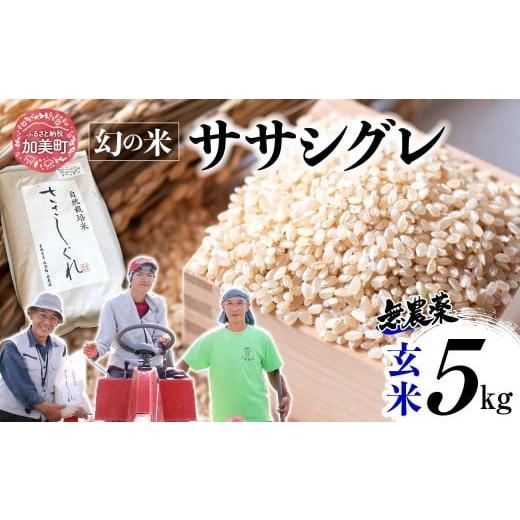 ふるさと納税 玄米 宮城県 加美町 [ 希少品種米 ] 新米 米 令和7年 宮城県産 ササシグレ ( 栽培期間中農薬・肥料不使用 ) 玄米 5kg | 宮城県 加美町 無農薬…
