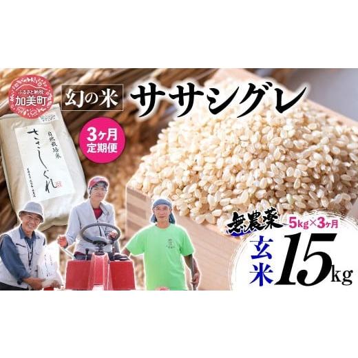 ふるさと納税 玄米 宮城県 加美町 [ 希少品種米 ] 新米 米 令和7年 宮城県産 ササシグレ ( 栽培期間中農薬・肥料不使用 ) 3回 定期便 玄米 5kg × 3ヶ月 ( …