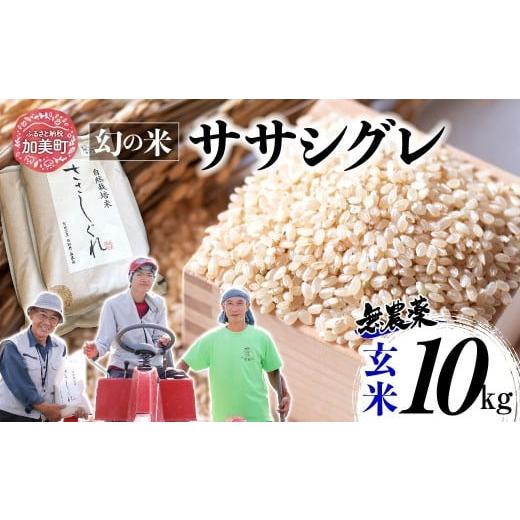 ふるさと納税 玄米 宮城県 加美町 [ 希少品種米 ] 新米 米 令和7年 宮城県産 ササシグレ ( 栽培期間中農薬・肥料不使用 ) 玄米 10kg | 宮城県 加美町 お米 …