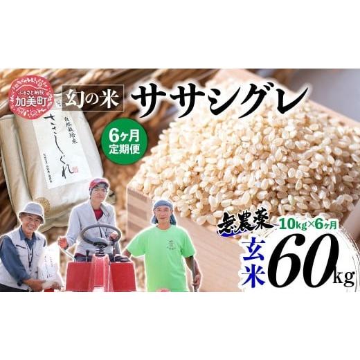 ふるさと納税 玄米 宮城県 加美町 [ 希少品種米 ] 米 令和7年 宮城県産 ササシグレ ( 栽培期間中農薬・肥料不使用 ) 6回 定期便 玄米 10kg × 6ヶ月 ( 合計…