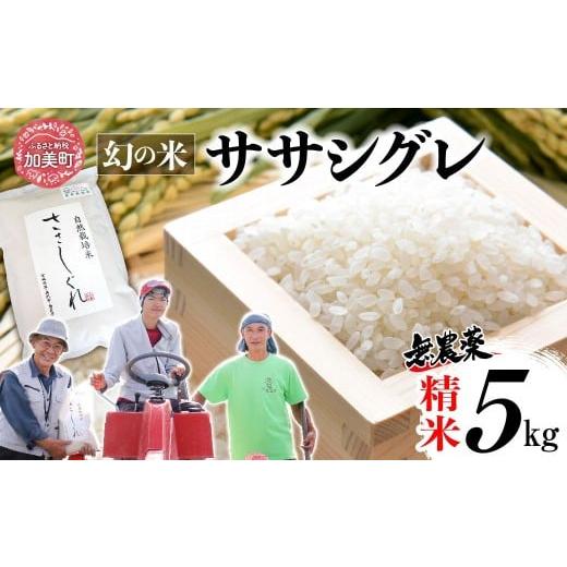 ふるさと納税 米 宮城県 加美町 [ 希少品種米 ] 新米 米 令和7年 宮城県産 ササシグレ ( 栽培期間中農薬・肥料不使用 ) 精米 白米 5kg | 宮城県 加美町 無…