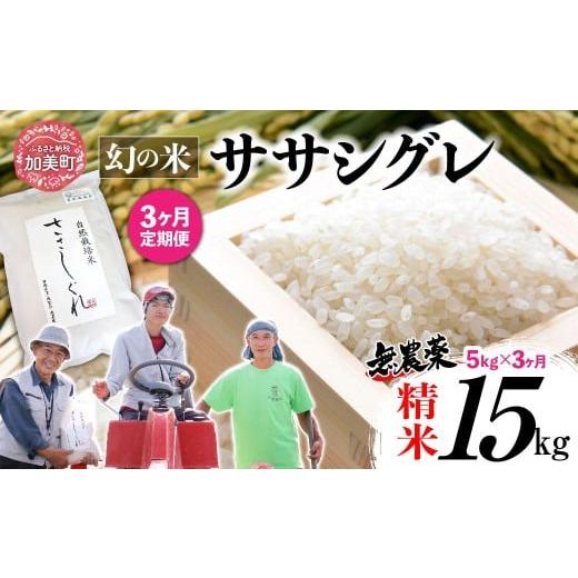 ふるさと納税 米 宮城県 加美町 [ 希少品種米 ] 新米 米 令和7年 宮城県産 ササシグレ ( 栽培期間中農薬・肥料不使用 ) 3回 定期便 精米 白米 5kg × 3ヶ月 …