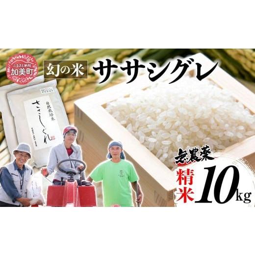 ふるさと納税 米 宮城県 加美町 [ 希少品種米 ] 米 令和7年 宮城県産 ササシグレ ( 栽培期間中農薬・肥料不使用 ) 精米 白米 10kg | 宮城県 加美町 無農薬 …