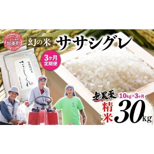 ふるさと納税 米 宮城県 加美町 [ 希少品種米 ] 米 令和7年 宮城県産 ササシグレ ( 栽培期間中農薬・肥料不使用 ) 3回 定期便 精米 白米 10kg × 3ヶ月 ( …