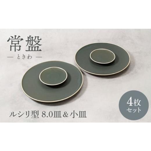 ふるさと納税 食器・グラス セット 岐阜県 土岐市 美濃焼 常盤 ときわ ルシリ型 8.0皿 2点 & 小皿 2点 合計4点 セット カネ定製陶 プレート セット うつわ…