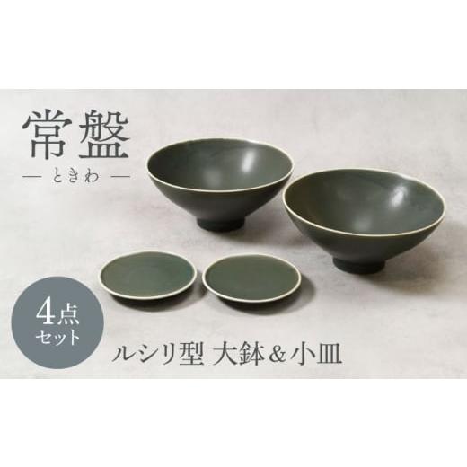 ふるさと納税 食器・グラス セット 岐阜県 土岐市 美濃焼 常盤 ときわ ルシリ型 大鉢 2点 & 小皿 2点 合計4点 セット カネ定製陶 ボウル プレート セット ME…