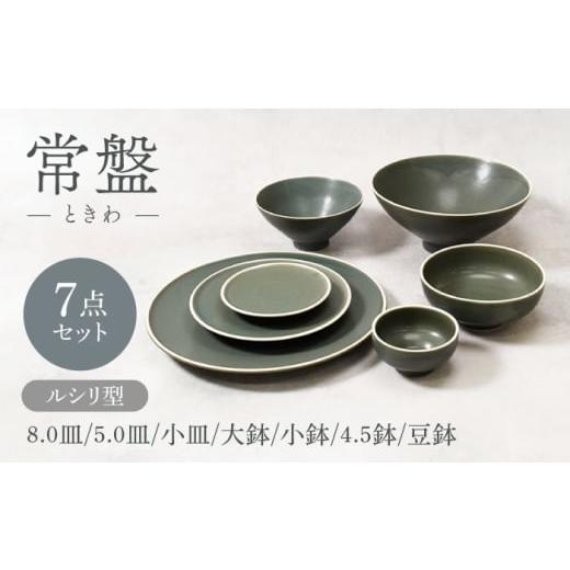 ふるさと納税 食器・グラス セット 岐阜県 土岐市 美濃焼 常盤 ときわ ルシリ型 シリーズ各1点 合計7点セット カネ定製陶 プレート ボウル セット