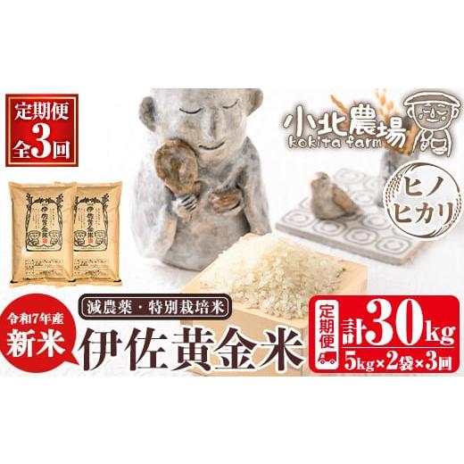 ふるさと納税 米 ヒノヒカリ 鹿児島県 伊佐市 isa791 [数量限定・3回定期便]令和7年産 小北農場の新米 伊佐黄金米[ヒノヒカリ](計30kg・5kg×2袋×3回) 鹿…