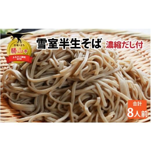 ふるさと納税 加工品等 福井県 勝山市 雪室半生そば 8人前(100g/1人前×8個セット) 濃縮だし付