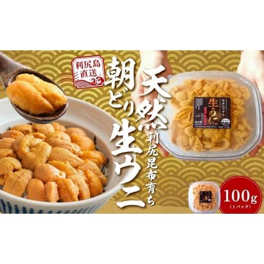 ふるさと納税 ウニ 北海道 利尻町 2026年発送受付 利尻島産「朝どり」塩水生うに100g (100g×1) 天然キタムラサキウニ 6~8月発送分 |北海道 朝獲れ 天然 塩…