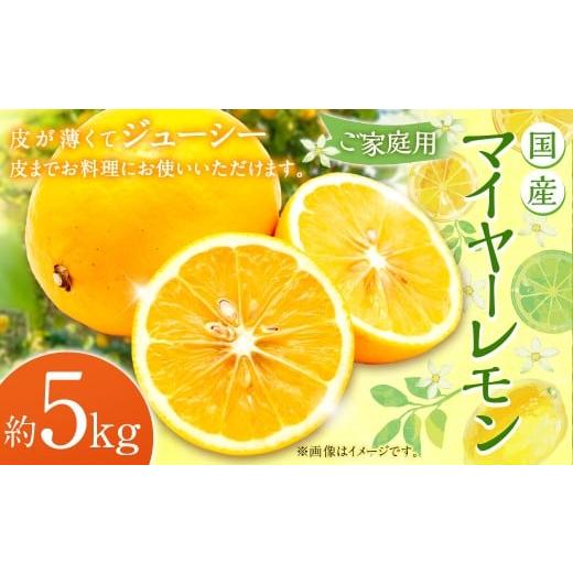 ふるさと納税 みかん・柑橘類 レモン 熊本県 益城町 ご家庭用 国産マイヤーレモン5kg レモン 檸檬 れもん 柑橘 くだもの 果物 フルーツ 果実 国産 熊本県 益…
