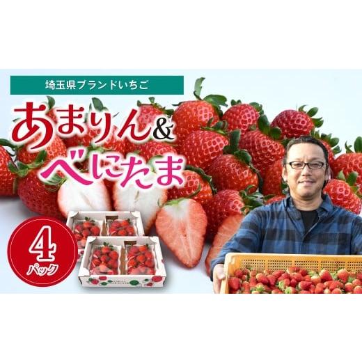 ふるさと納税 いちご 埼玉県 北本市 あまりん べにたま いちご 食べ比べセット 数量限定 | イチゴ 苺 新鮮 化粧箱 大粒 果物 フルーツ 甘い 美味しい ジュー…