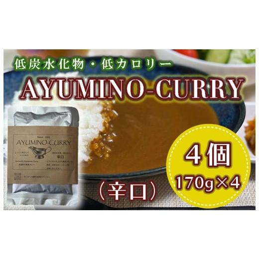 ふるさと納税 加工品等 レトルト 福岡県 行橋市 DL-003_AYUMINO-CURRY 辛口