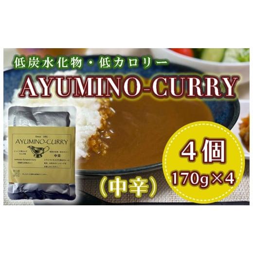 ふるさと納税 加工品等 レトルト 福岡県 行橋市 DL-002_AYUMINO-CURRY 中辛