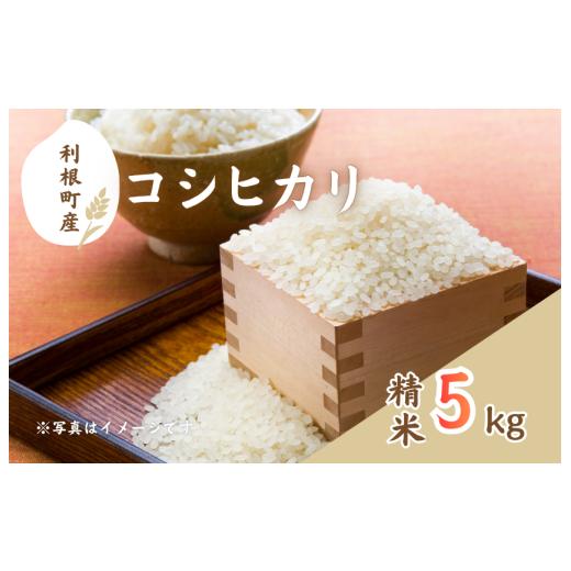 ふるさと納税 米 コシヒカリ 茨城県 利根町 利根町産コシヒカリ 精米5kg / 米 こめ コメ お米 おこめ コシヒカリ こしひかり 令和7年産 新米 白米 精米 ご飯…