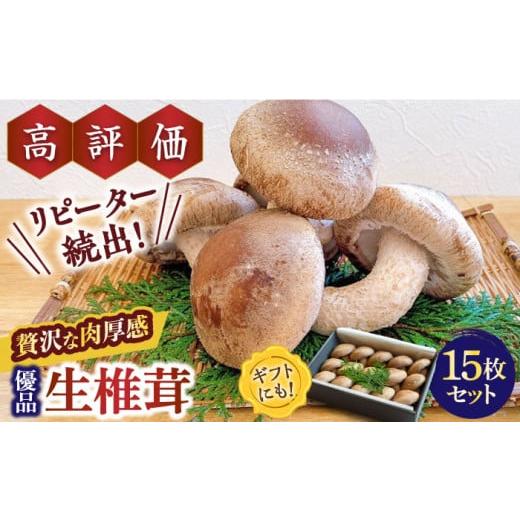 ふるさと納税 野菜類 きのこ 長崎県 南島原市 年内配送 一度食べたら忘れられない 九州で唯一 希少な生椎茸 優品 15枚セット / しいたけ 椎茸 生しいたけ 生…