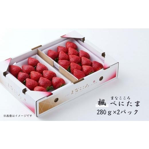 ふるさと納税 いちご 埼玉県 東松山市 先行予約 べにたま 280g×2パック まなこころ・楓 | べにたま ベニタマ イチゴ 苺 いちご かえで 楓 新鮮 箱 2P 真心…