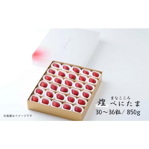 ふるさと納税 いちご 埼玉県 東松山市 先行予約 べにたま 特別贈答用 まなこころ・煌(850g 30〜36粒 ) | べにたま ベニタマ イチゴ 苺 いちご きらめき 新…