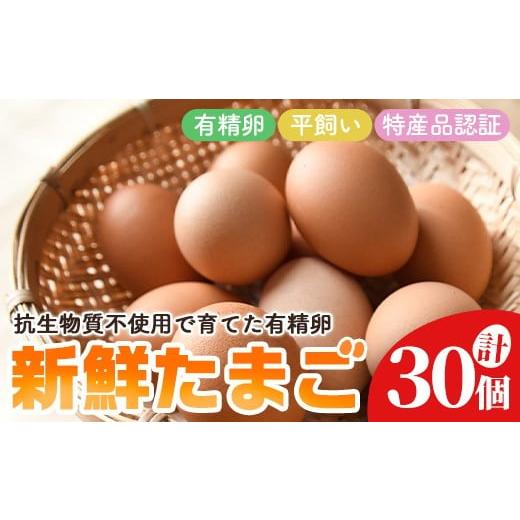 ふるさと納税 卵(鶏、烏骨鶏等) 茨城県 常陸大宮市 石黒たまご園の平飼い有精卵 30個入り たまご タマゴ 鶏卵 玉子 卵 常温 茨城県 普段使い用 パック包装 …