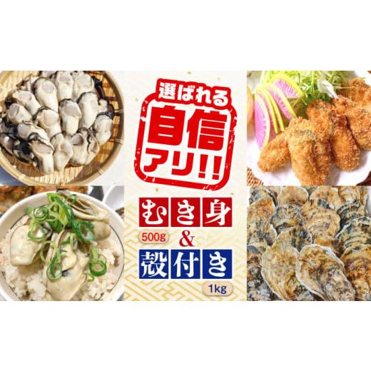 ふるさと納税 牡蠣 生牡蠣 広島県 江田島市 3月15日(日)着 特選 牡蠣三昧 生牡蠣 広島牡蠣 むき身500g/殻付き1kgセット (加熱用) 牡蠣 かき カキ むき身 …