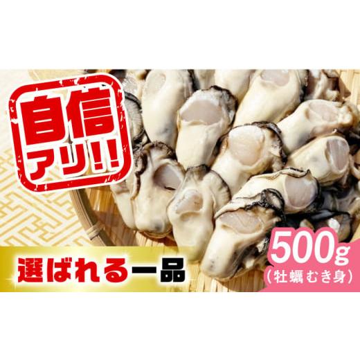 ふるさと納税 牡蠣 生牡蠣 広島県 江田島市 3月11日(水)着 特選 牡蠣三昧 生牡蠣 広島牡蠣 むき身 500g (加熱用) 人気 かき 広島 料理 簡単 レシピ 海鮮 ギ…
