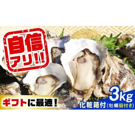 ふるさと納税 牡蠣 生牡蠣 広島県 江田島市 4月8日(水)着 特選 牡蠣三昧 生牡蠣 広島牡蠣 殻付き3kg(化粧箱あり) 魚介類 海鮮 牡蠣 殻付き かき カキフラ…