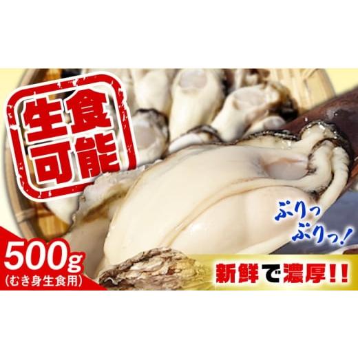 ふるさと納税 牡蠣 生牡蠣 広島県 江田島市 2月4日(水)着 特選 牡蠣三昧 生牡蠣 広島牡蠣 むき身500g 生食用 魚介類 海鮮 牡蠣 むき身 かき カキフライ カ…