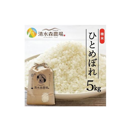 ふるさと納税 米 ひとめぼれ 山形県 遊佐町 遊佐町産ひとめぼれ5kg (令和7年産米)4月中旬 令和8年4月中旬発送