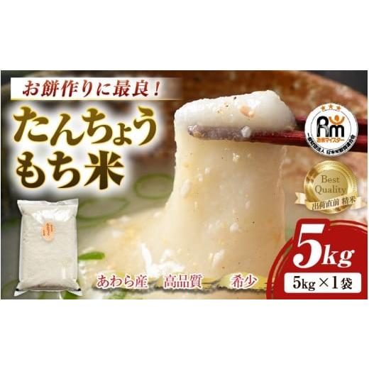 ふるさと納税 米・パン もち米 福井県 あわら市 令和7年産 たんちょうもち米 5kg 精米 希少 お餅作りに最良 / 餅 タンチョウ 餅つき 丸餅 柏餅 aw064-a018