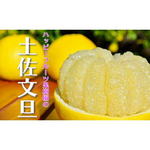 ふるさと納税 みかん・柑橘類 高知県 宿毛市 お裾分け用 ハッピーフルーツ果樹園 土佐文旦 6kg (3kg × 2箱) 家庭用 L~3L 文旦 ぶんたん みかん 高知 フルー…