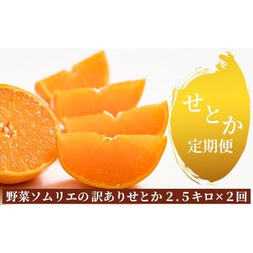 ふるさと納税 果物類 みかん 大分県 杵築市 野菜ソムリエ石児さんの訳ありせとか2回定期便(2.5キロ×2回) ミカン みかん 蜜柑 柑橘 2.5kg 柑橘類 せとか 訳…