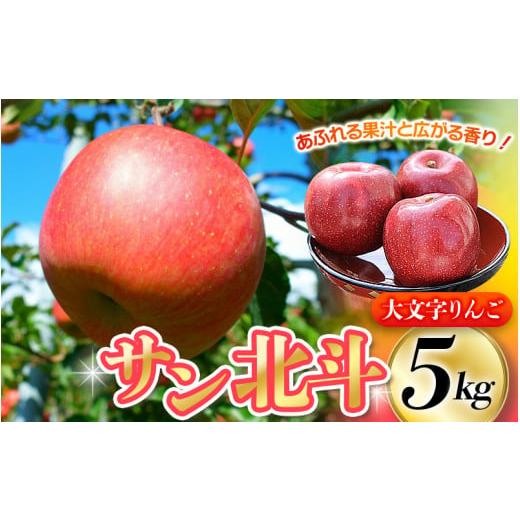 ふるさと納税 りんご 岩手県 平泉町 2025年10月下旬頃より順次発送 大文字りんご園 サン北斗 サン北斗 約5kg 大玉 (10〜11玉) / 樹上完熟 りんご リンゴ 林…