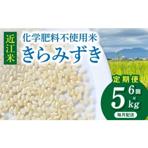 ふるさと納税 米 滋賀県 守山市 令和8年度産 先行予約 近江米『きらみずき』 化学肥料不使用米 5キロ×6回定期便(鮮度保持袋)